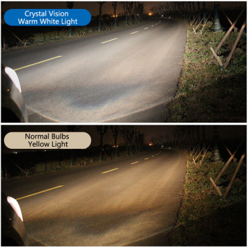 TopLEDverlichting.nl H1 55 Watt Philips Crystal Vision lampen 4300K White 12V (set) foto 6