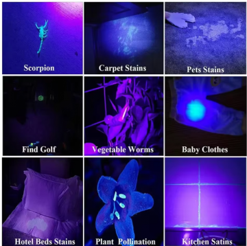 TopLEDverlichting.nl UV-Zaklamp - UV Lamp - Ultraviolet Light – LED Blacklight – Fosforlamp - Fluoresceert – Echtheid Geld, ID Kaart & Postzegels Controleren foto 10