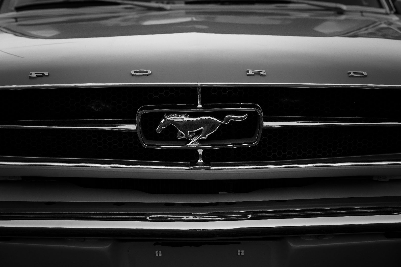 Ford Mustang | D8S xenon lampen 25W koplampen